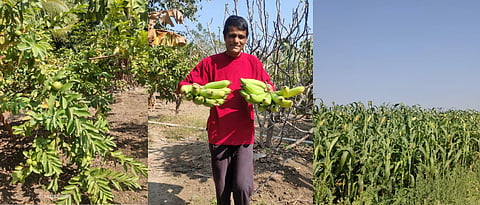 how farming can be a happy farming?