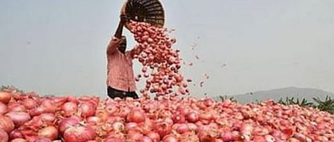onion