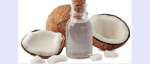 Coconut