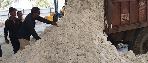 Cotton Market