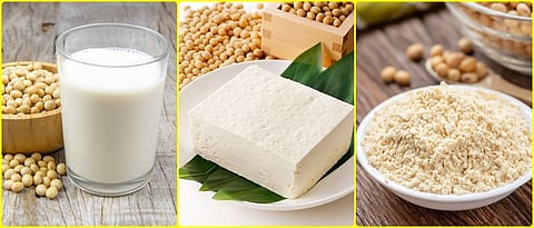 value added products of soyabean