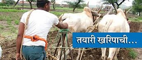 यवतमाळ जिल्ह्यात पेरण्या खोळंबल्या