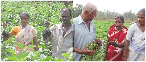 भाजीपाला, भुईमूग अशा पिकांतून कळवंडेने पिकांची विविधता जपली आहे.