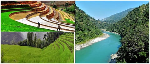 सिक्कीमचे ‘टेरेस फार्मिंग’ ठरतेय वरदान