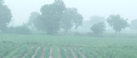 Heavy Rain