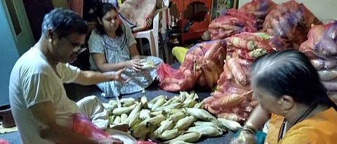 sweet corn packing