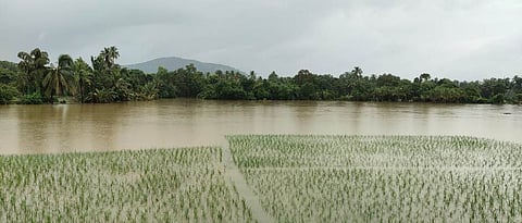 शेकडो घरे पाण्याखाली; दरड कोसळून महिलेचा मृत्यू Hundreds of homes submerged; Woman dies due to pain