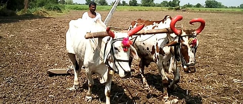 Govt. Agriculture Scheme