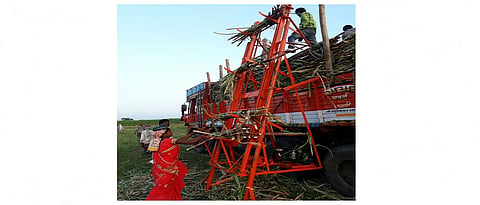 स्वामी शुगरकेन लिफ्टमुळे कोणत्याही त्रासाशिवाय ट्रकमध्ये ऊस चढवणे शक्य झाले आहे.
