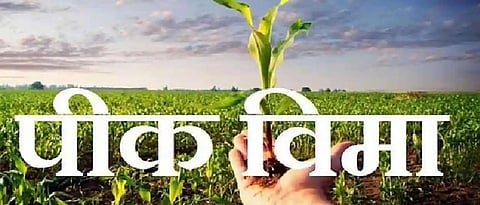 Crop Insurance