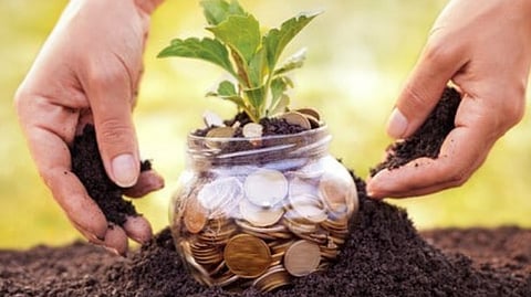 Agriculture Investment
