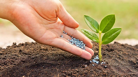 Fertilizers