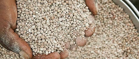 Fertilizers
