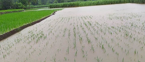 Rain Update : जालना, बीडमधील आठ मंडलांत अतिवृष्टी
