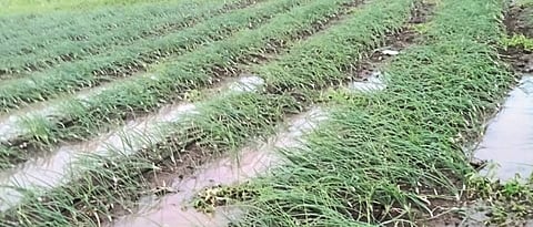 Hailstorms