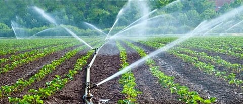micro irrigation