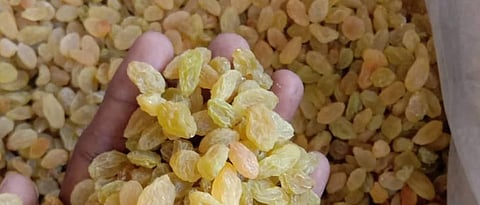 Increase in production cost of raisins up to 20%