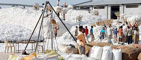 Cotton World