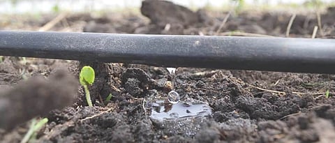 MIcro Irrigation