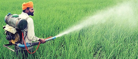 Pesticide