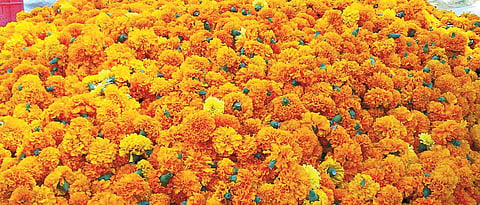 Happy Dussehra, Diwali to flower growers