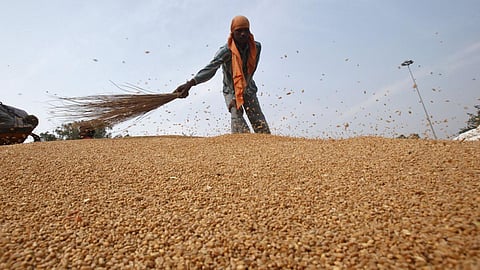 India’s wheat exports to top 10 mt this fiscal