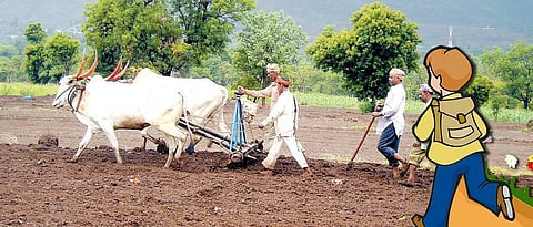 Agriculture Education