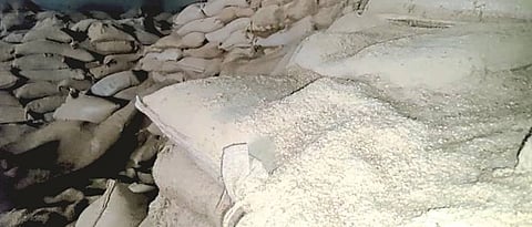jowar damage