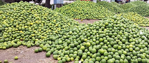 Orange Market