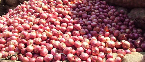 Provide Rs 500 crore subsidy to onion growers