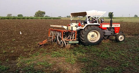 Rabi Season