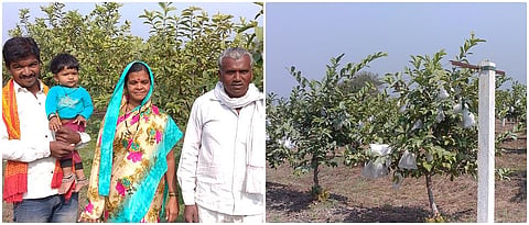 दर्जेदार पेरू, खरबूज उत्पादनात हातखंडा