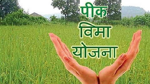 Crop insurance