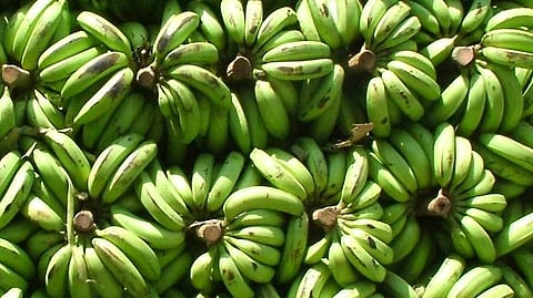 Banana Rate