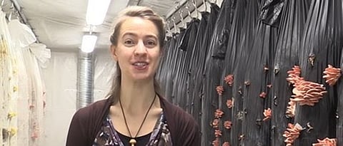 Canada's first vertical mushroom farm