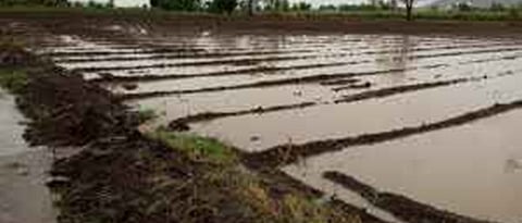 Nanded Rain