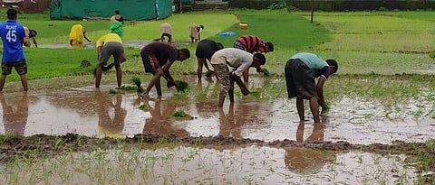 Farming