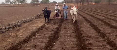 Agriculture