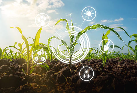 Agriculture