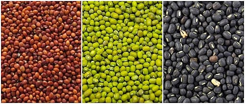 Pulses Market