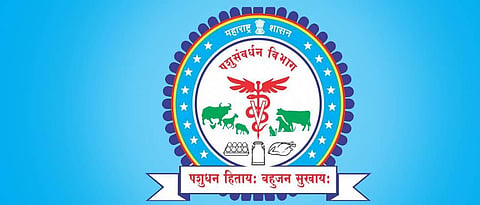 Animal Husbandry’ schemes