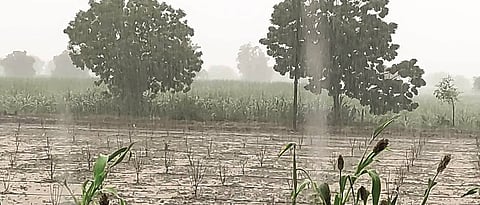 Rain Live Updates