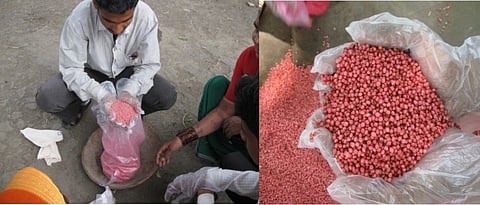 Seed Treatment