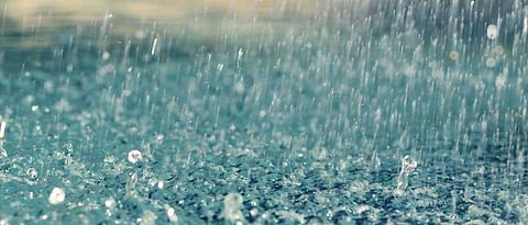 Rain