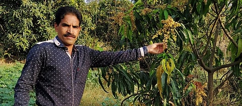 चंद्रकांत पाटील आपल्या सेंद्रिय पध्दतीच्या शेतात