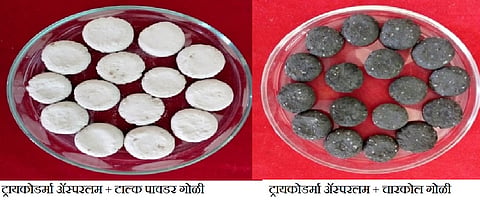 ट्रायकोडर्मा वितरणाची नावीन्यपूर्ण प्रणाली