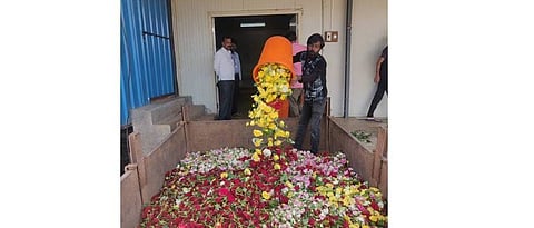 Pavana Flower Producers' Union loss of one and a half lakh per dayPavana Flower Producers' Union loss of one and a half lakh per day