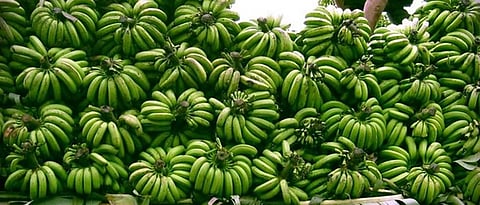 Banana Rate