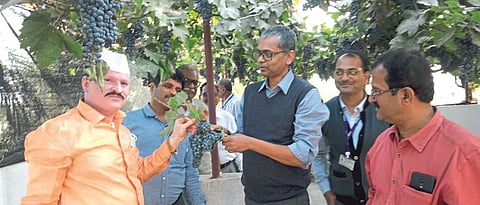 Visit of Commissioner of Agriculture to Grape Terrace Garden