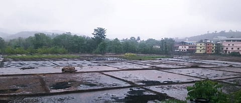 Vidarbha Rain Update